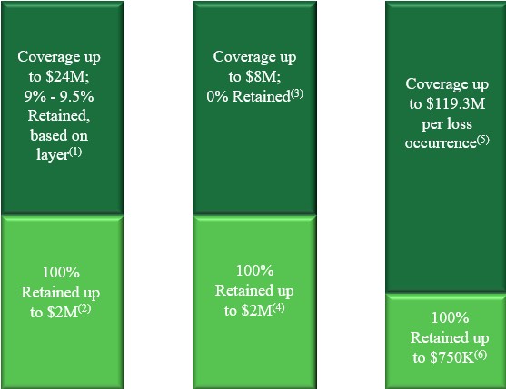 Reinsurance Chart Updated V2.jpg