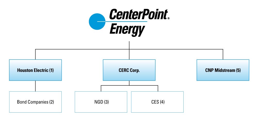 cnpstructurechart1.jpg