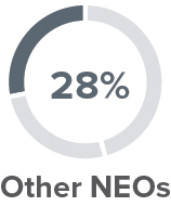 piechart_neosxbasesalary2a.jpg