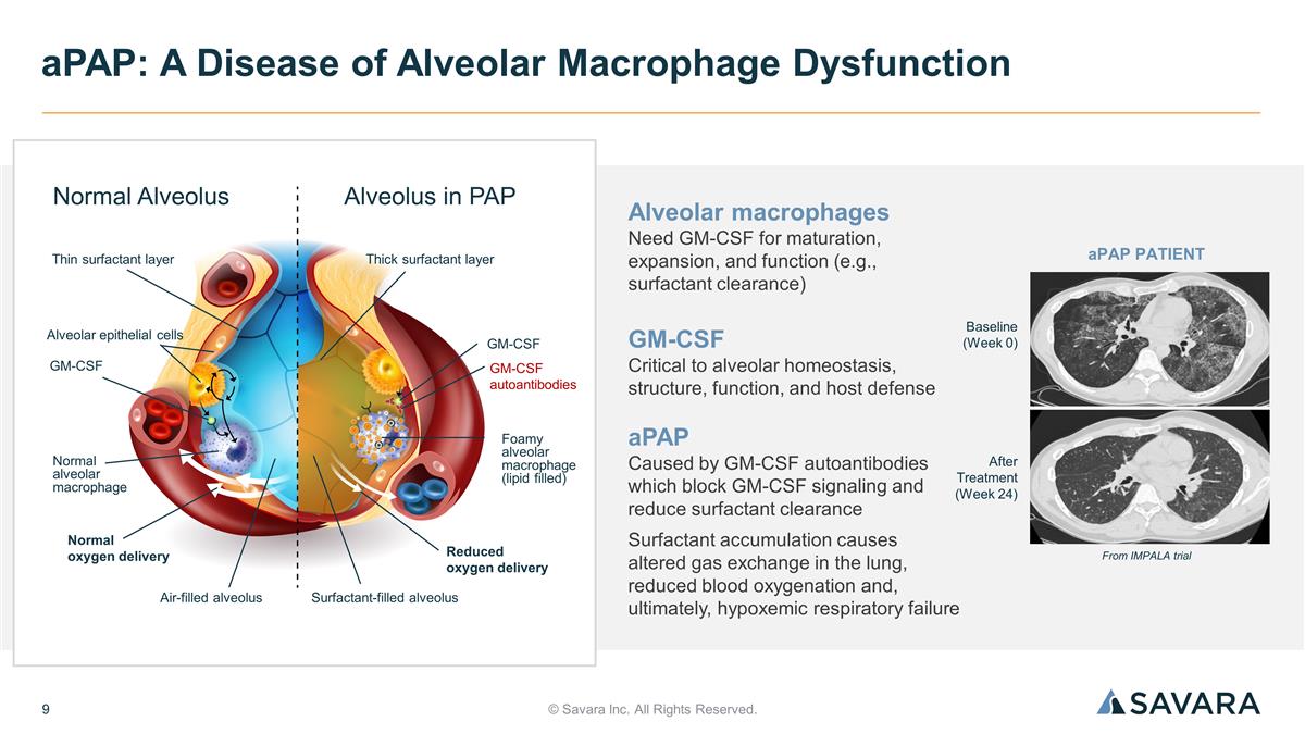 Slide 9