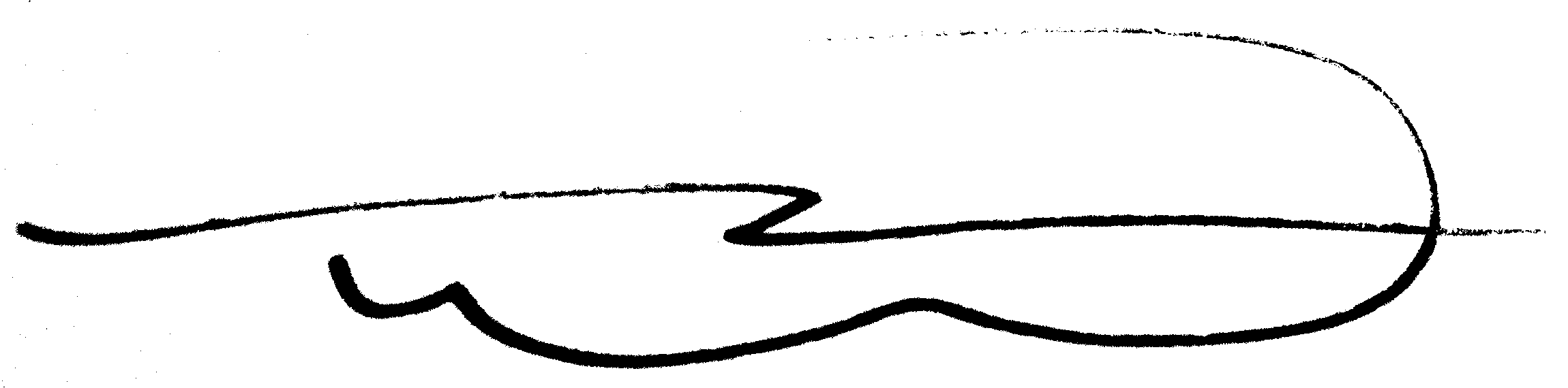 signature.jpg