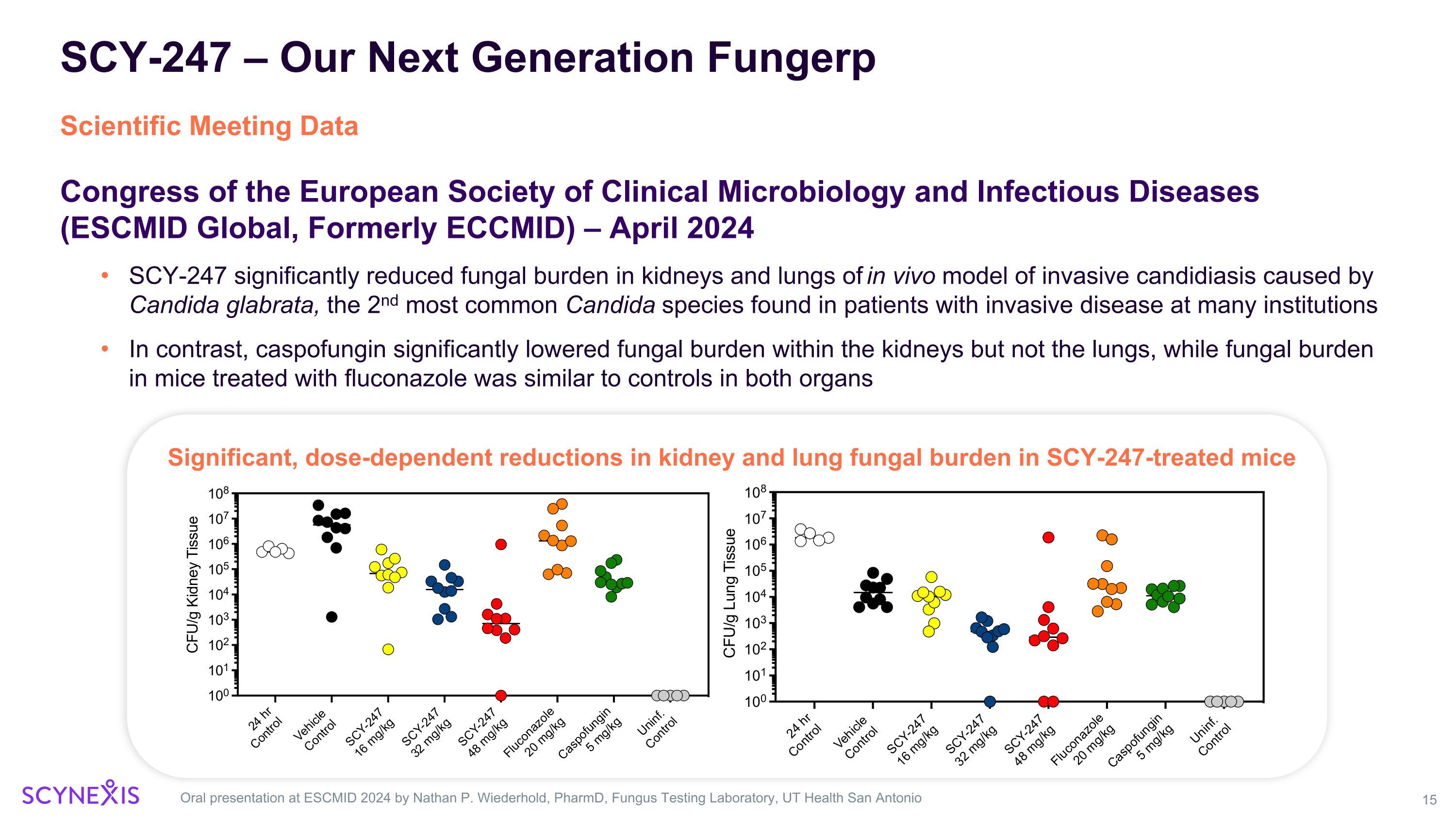 Slide 15