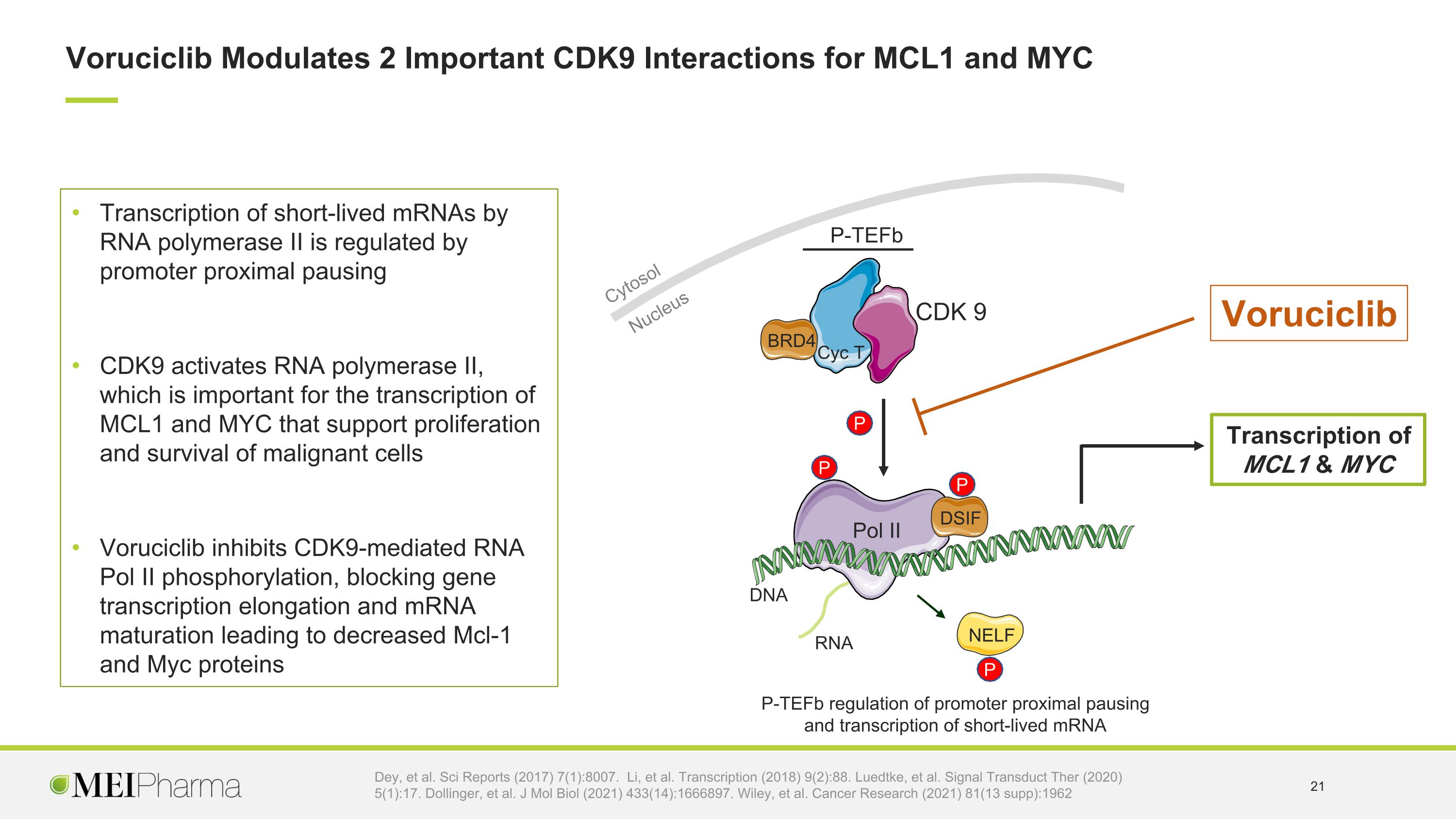 Slide 21