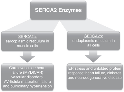 A ISO 20816 – 3 de 2022 - DMC