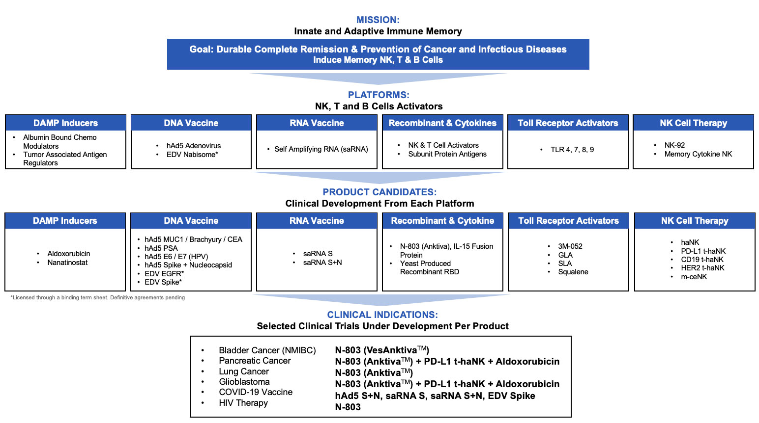 a01-platforma.jpg