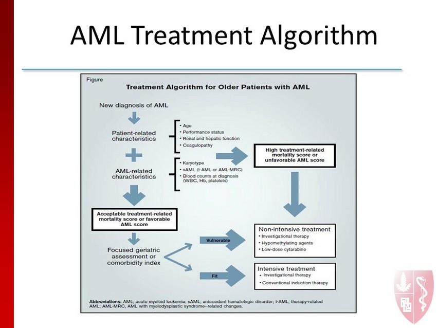 AML Treatment Algorithm