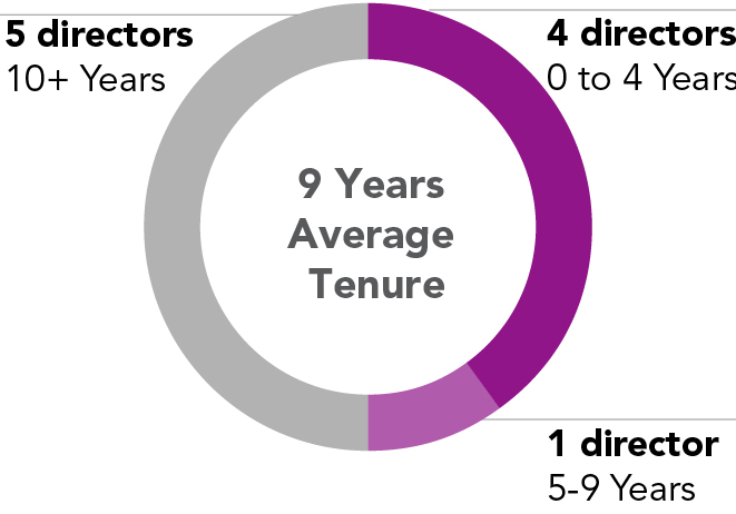 03_435467-1_pie_boardComposition_tenure.jpg