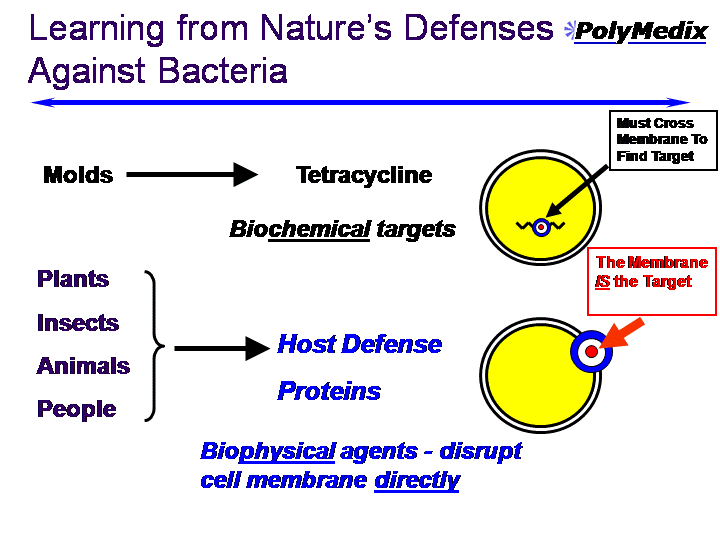 Learning from Nature's DefensesAgainst BacteriaMoldsTetracyclinePlantsInsectsAnimalsPeopleHost 