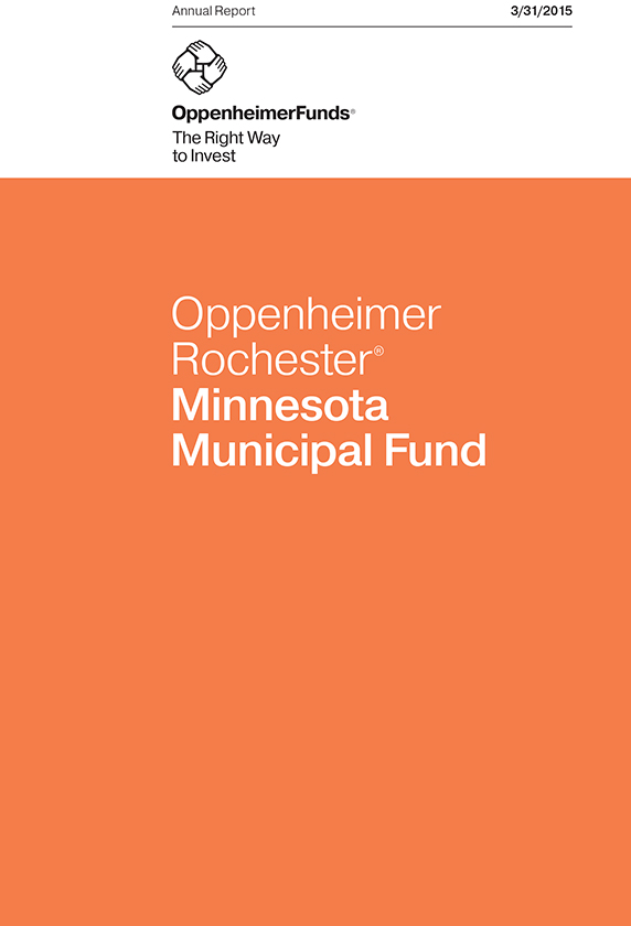 St. Paul and Minnesota Foundation CIO Details How to Build a Socially  Considerate Portfolio