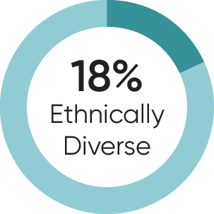 piechart_diversity_ethnic.jpg