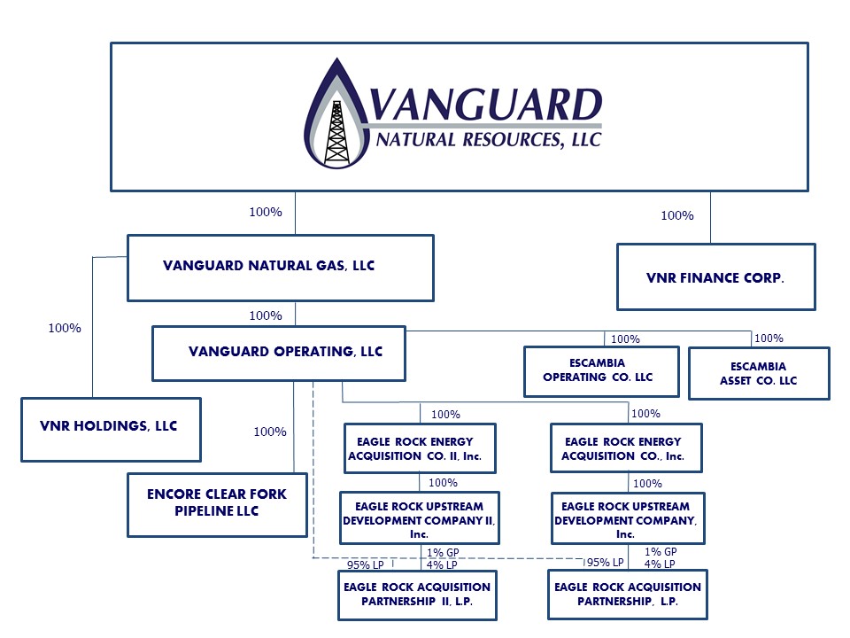 vnrorgchart123116v030917.jpg