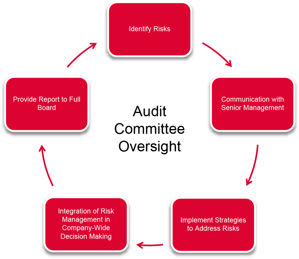Board's Role in Risk Oversight - AC Oversight Graphic.jpg