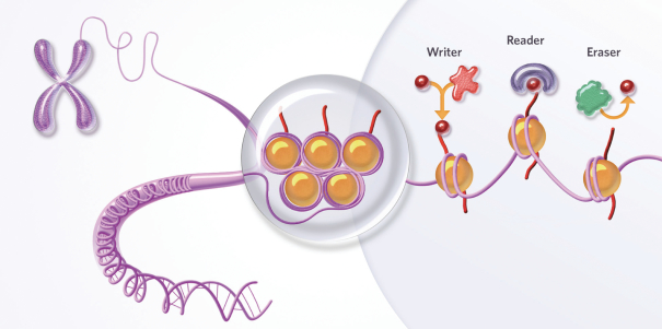 Ribon Therapeutics Announces $25 Million Equity Investment from Pfizer