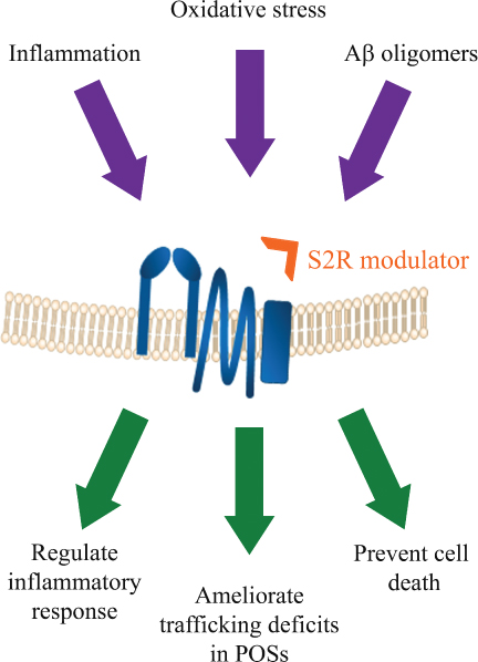 [MISSING IMAGE: tm2113659d3_fc-inflamma4c.jpg]