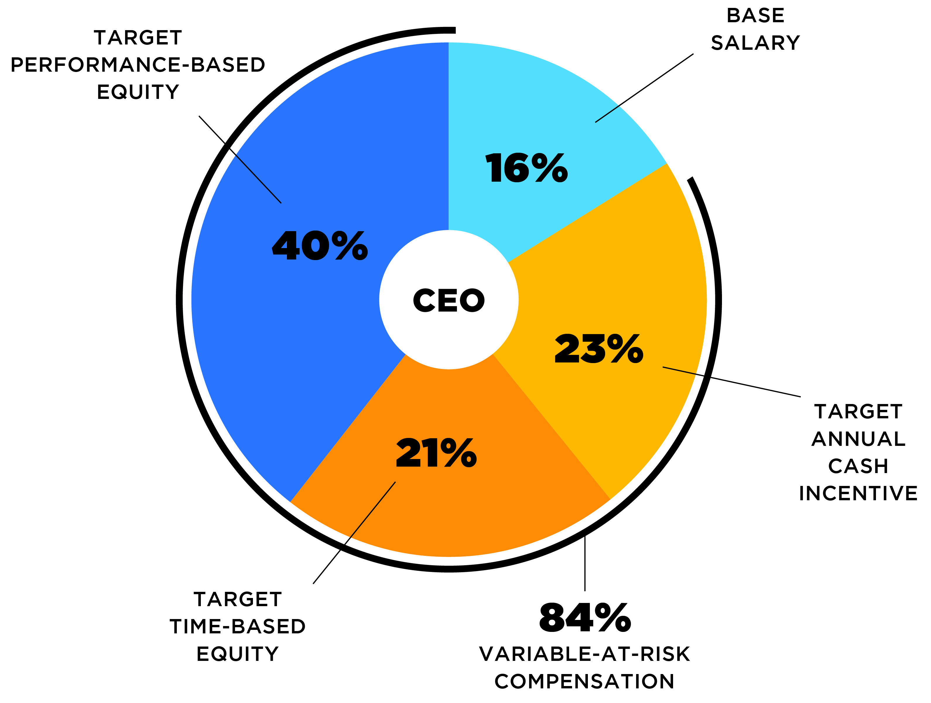 ProxyPieChart_2024_CEO (003) FINAL.jpg