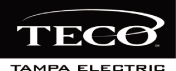 (TAMPA ELECTRIC LOGO)