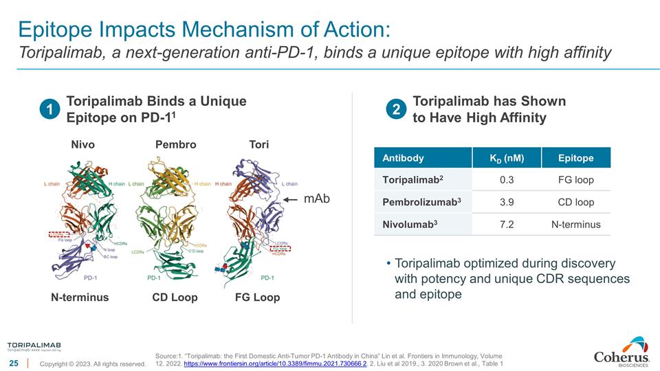 Slide 25