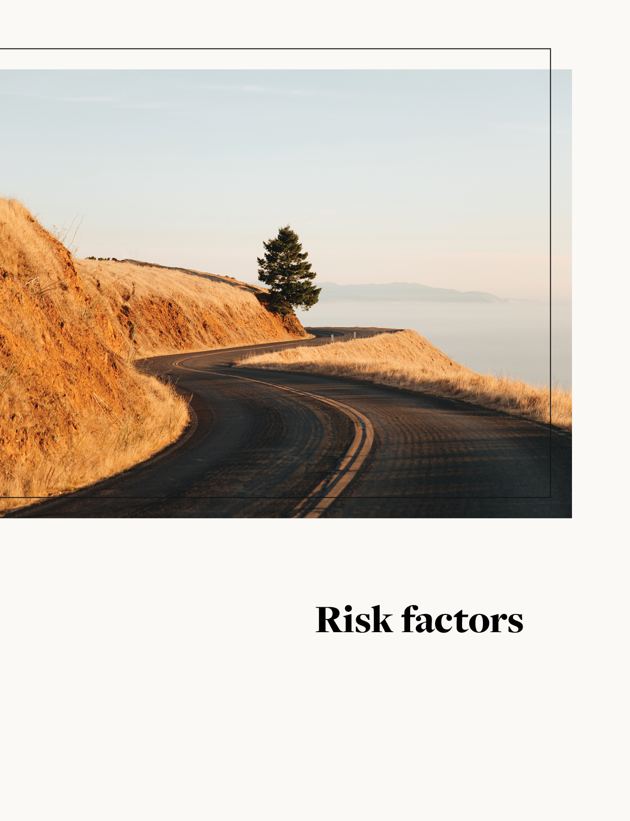 riskfactors1b.jpg