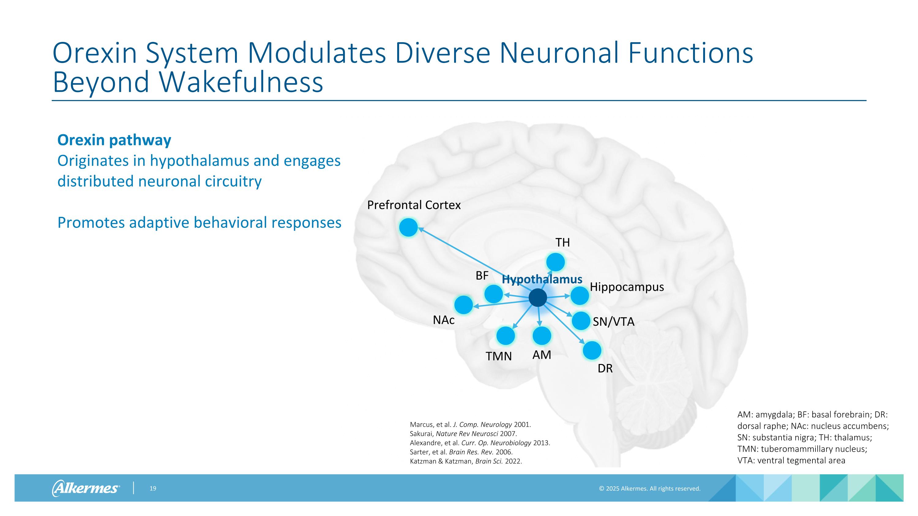 Slide 19