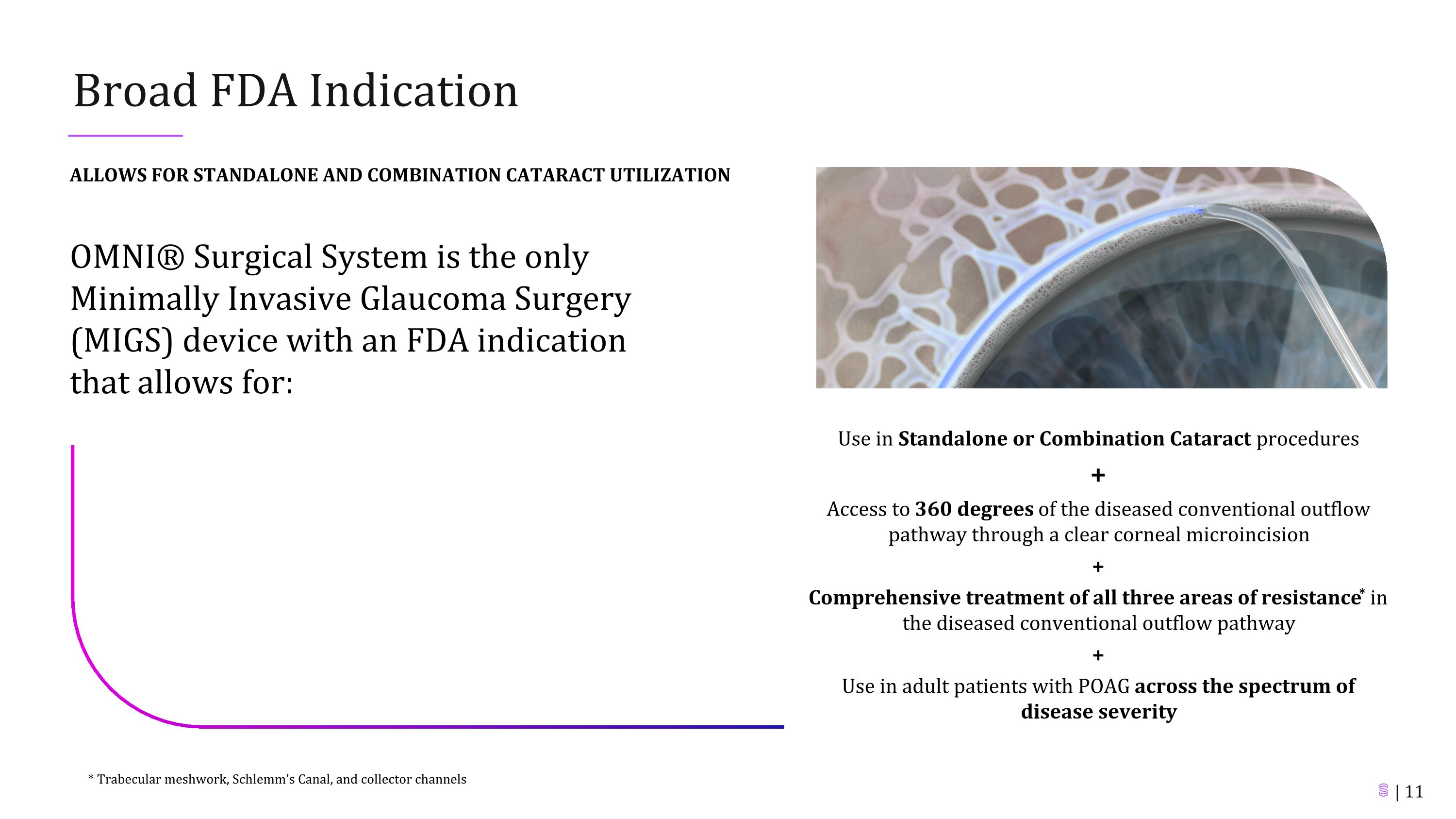 Slide 11