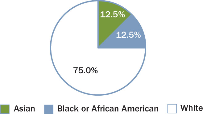 [MISSING IMAGE: pc_ethnicity-pn.jpg]