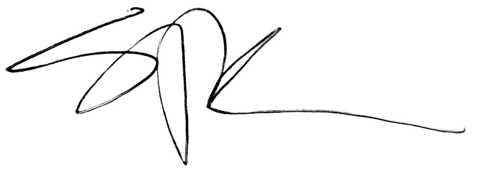 LKP Signature_transparent.jpg