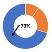 CEO TARGET MIX- LTE INCENTIVES.jpg