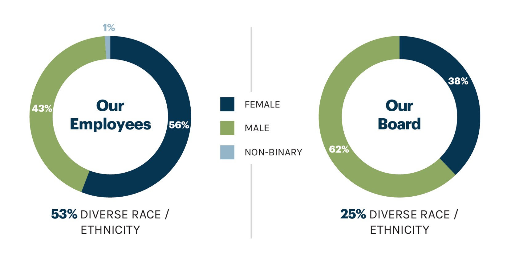 piecharts_boarddiversity.jpg