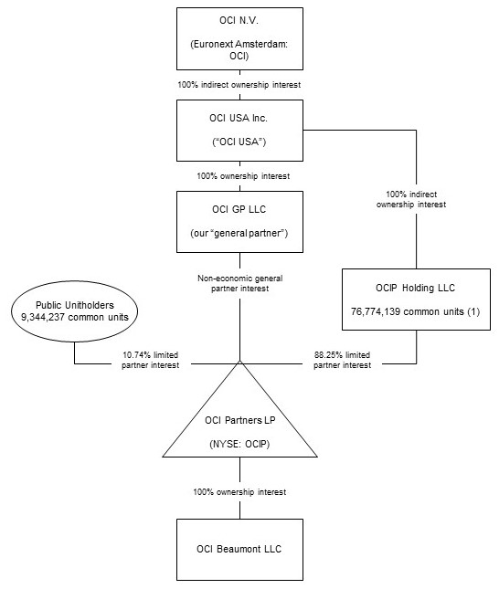 ocipstructure18.jpg