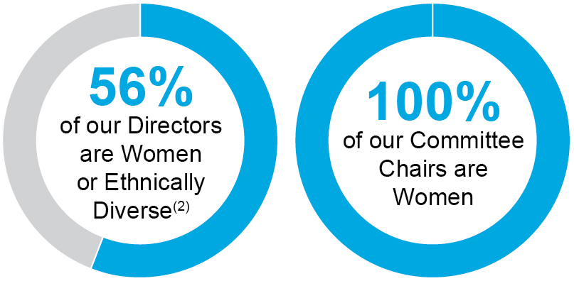 p1_piechartgenderdiversity1.jpg