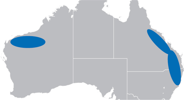 graphic_map_australia.jpg