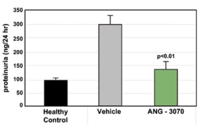 ang-3070reducedproteinuria1a.jpg