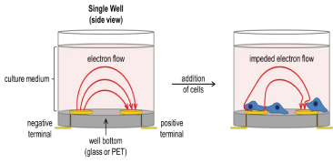 [MISSING IMAGE: t1701672_singlewell.jpg]