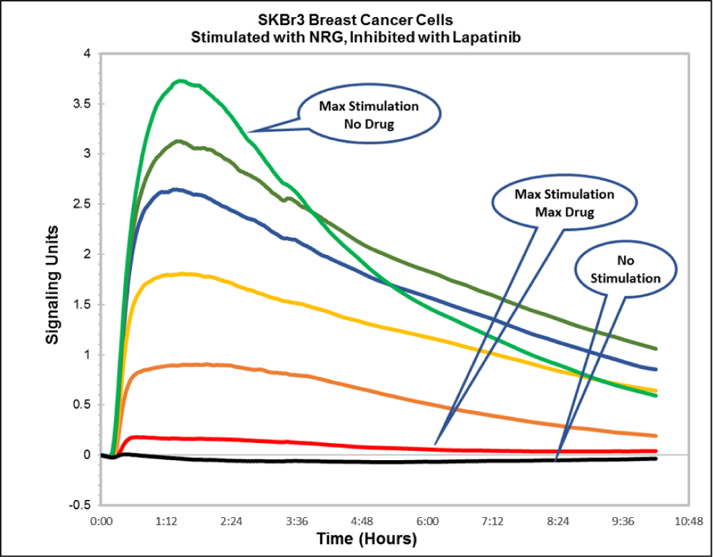 [MISSING IMAGE: t1702136_chrt-inhibit.jpg]