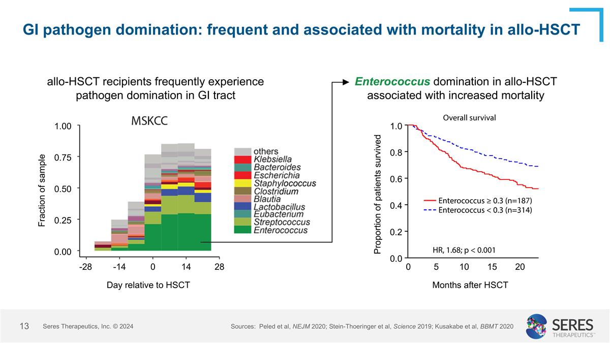 Slide 13