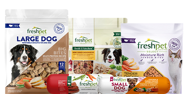 Freshpet Select Large Dog Big Bites Multi-Protein Meal - Shop Food