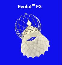 Evolut FX.jpg
