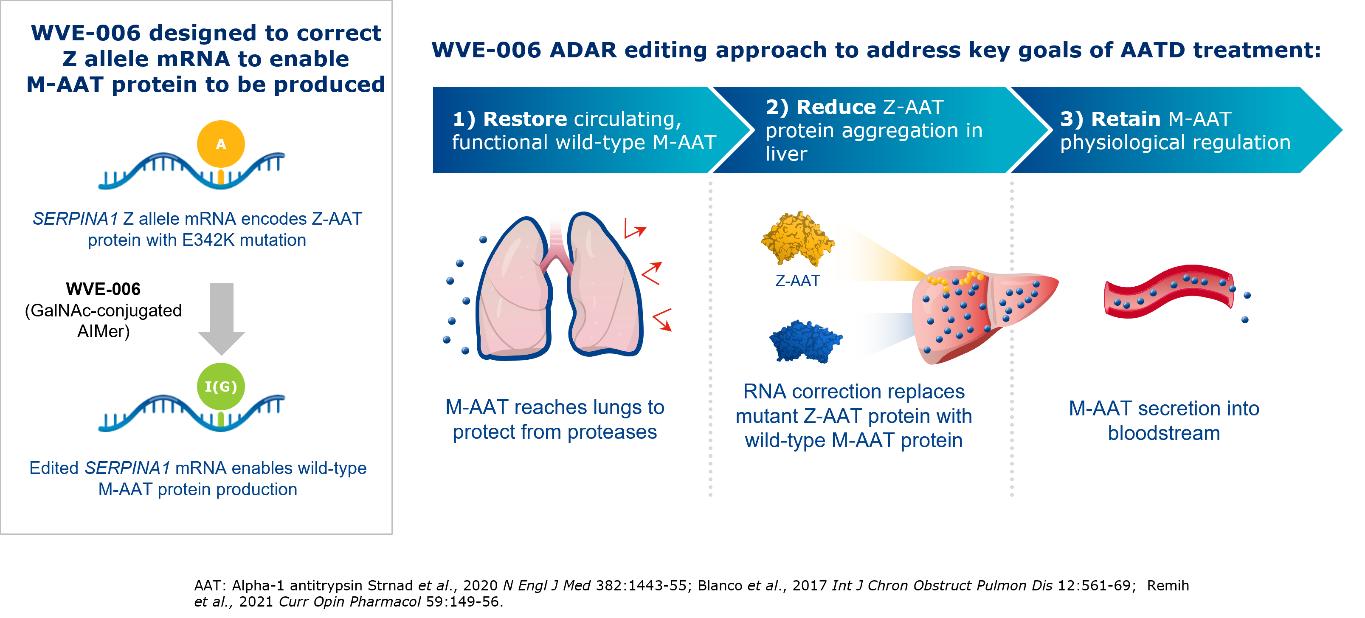 Compositions For The Treatment Of Disease Paul; Steven ; et al. [VOYAGER  THERAPEUTICS, INC.]