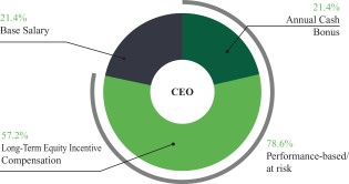 CEO - Pay v. Performance.jpg