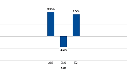 PerformanceBarChartData(2019:10.06,2020:-4.52,2021:9.04)