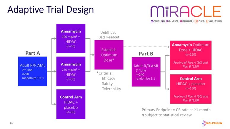 slide11.jpg