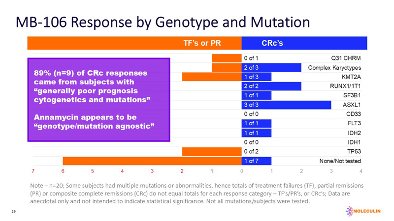 slide19.jpg