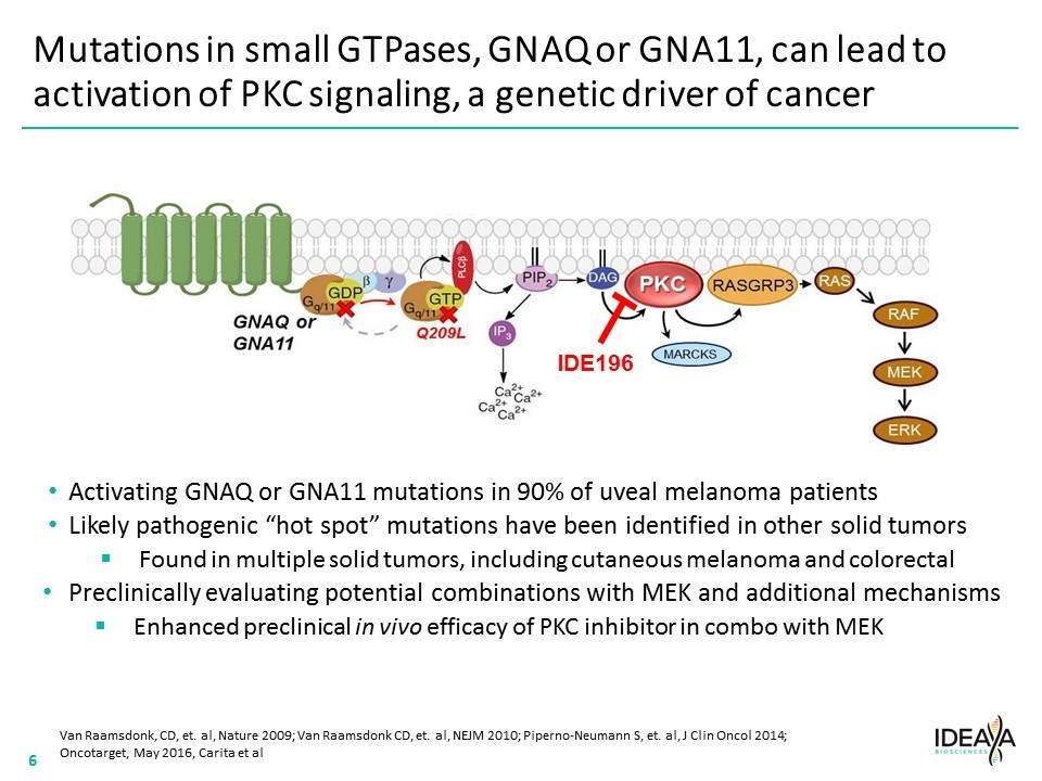 Slide 6