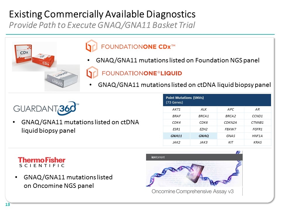 Slide 13