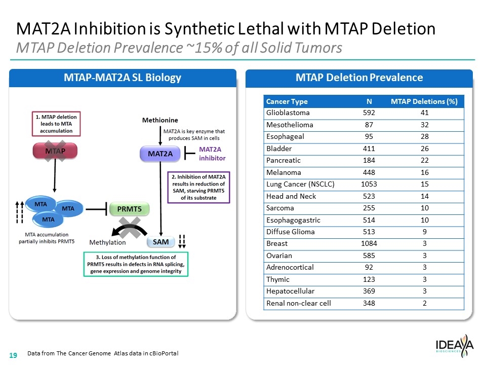 Slide 19