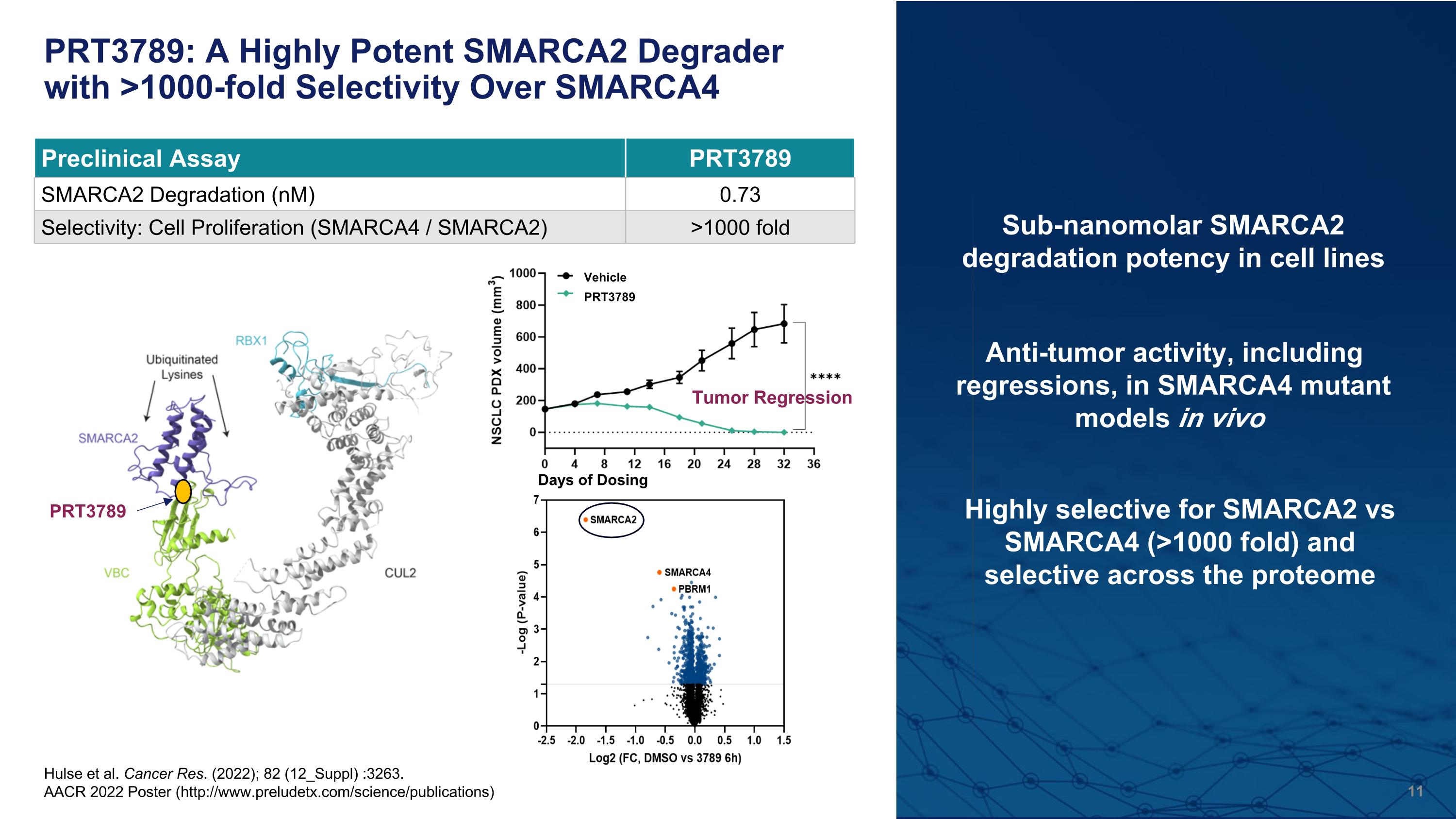 Slide 11