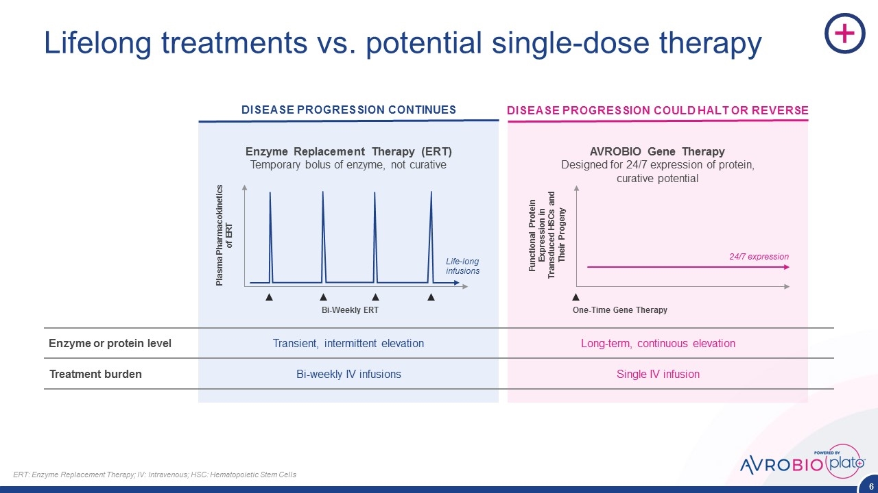 Slide 6