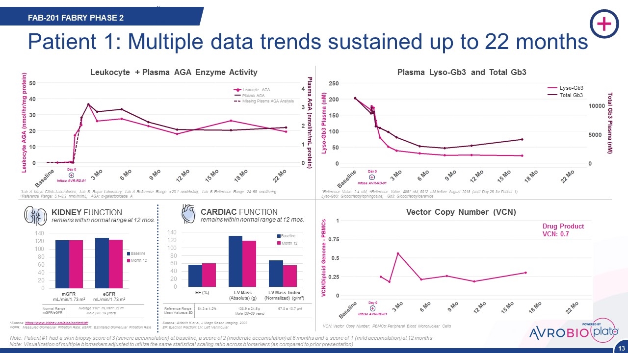 Slide 13