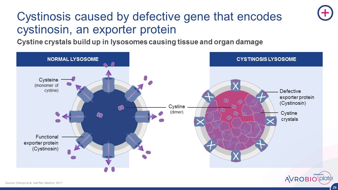 Slide 29