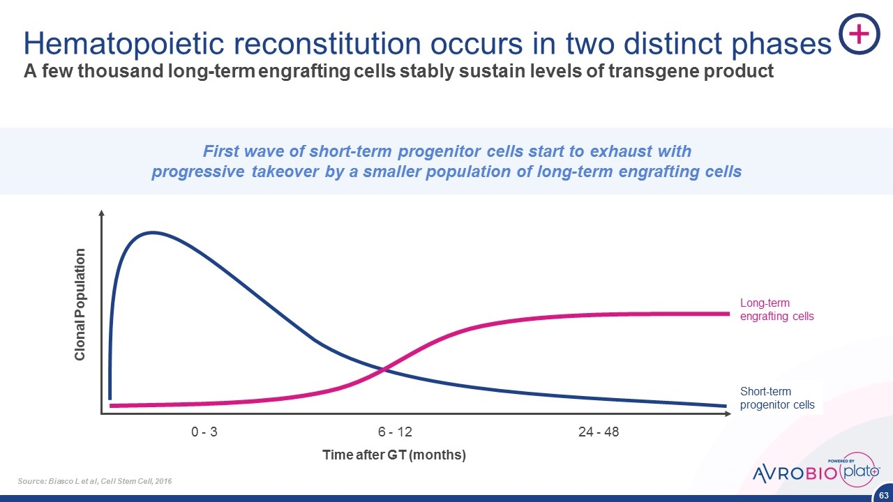 Slide 63